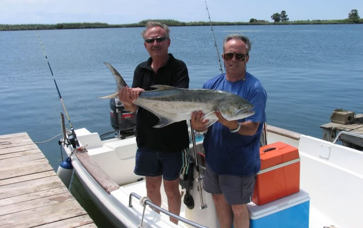 Spanien Ebro Delta Fisch 0015